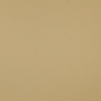 Кромка  (19мм Х 200 пм) мелам. с клеем  1573 желтая - Ангара 96